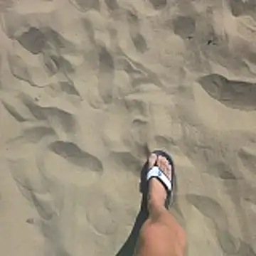 Trucker Hunter online show from 02-08-26, 11:41