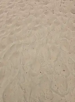 Trucker Hunter online show from 09-25-25, 01:06