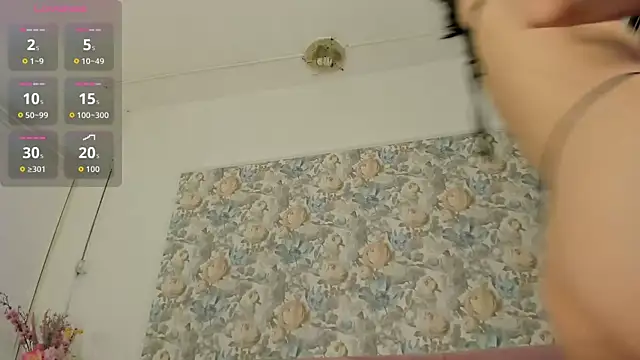 illegal lorry online show from 04-01-26, 05:31