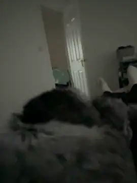 Furdale online show from 02-11-26, 03:34