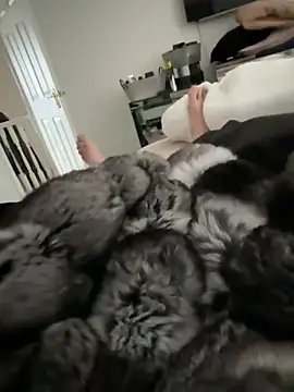 Furdale online show from 03-15-26, 12:45