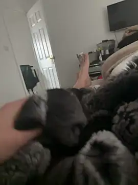 Furdale online show from 03-16-26, 09:57