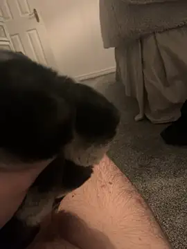 Snapshot of Furdale chatting on 01-06-25, 05:06 Furdale online show from 01-06-25, 05:06