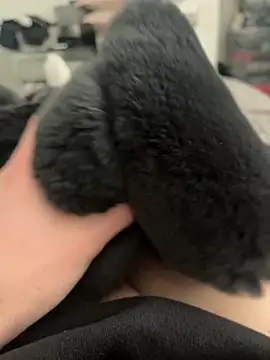 Snapshot of Furdale chatting on 02-28-25, 11:36 Furdale online show from 02-28-25, 11:36