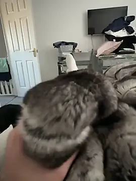 Furdale online show from 11-30-25, 11:22