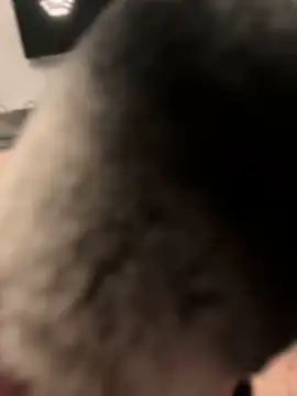 Snapshot of Furdale chatting on 01-31-25, 07:08 Furdale online show from 01-31-25, 07:08