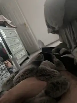 Snapshot of Furdale chatting on 01-07-25, 02:08 Furdale online show from 01-07-25, 02:08