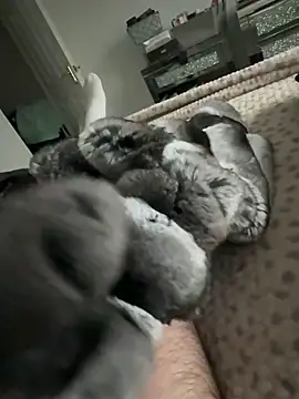 Furdale online show from 02-09-26, 03:43