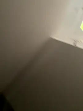 Snapshot of Furdale chatting on 09-10-25, 04:28 Furdale online show from 09-10-25, 04:28