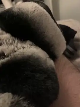 Snapshot of Furdale chatting on 01-10-25, 05:02 Furdale online show from 01-10-25, 05:02