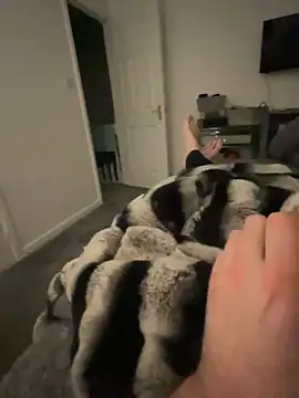 Snapshot of Furdale chatting on 02-05-25, 07:20 Furdale online show from 02-05-25, 07:20