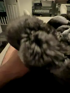 Furdale online show from 11-24-25, 04:40