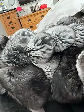 Furdale online show from 04-22-26, 03:19