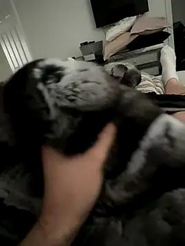 Snapshot of Furdale chatting on 10-14-25, 03:01 Furdale online show from 10-14-25, 03:01