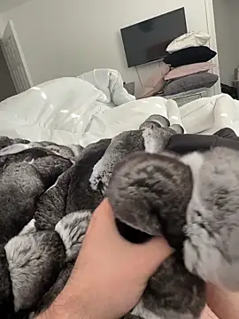 Furdale online show from 11-02-25, 01:05