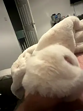 Furdale online show from 11-06-25, 05:28