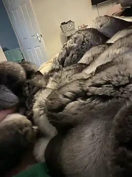 Furdale online show from 02-15-26, 01:32