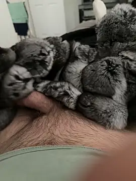 Snapshot of Furdale chatting on 09-22-25, 04:13 Furdale online show from 09-22-25, 04:13