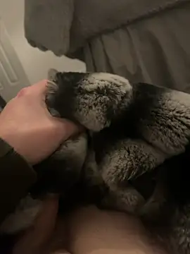 Snapshot of Furdale chatting on 01-07-25, 05:20 Furdale online show from 01-07-25, 05:20