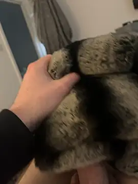 Snapshot of Furdale chatting on 02-12-25, 02:54 Furdale online show from 02-12-25, 02:54