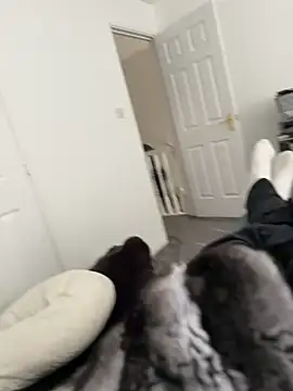 Furdale online show from 03-18-26, 02:19