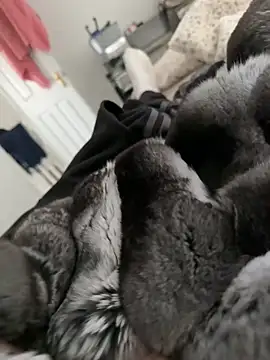 Furdale online show from 02-28-26, 02:06