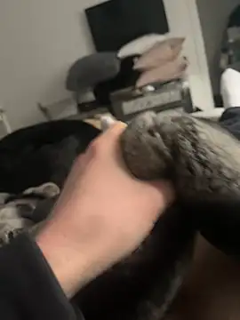 Snapshot of Furdale chatting on 02-16-25, 02:32 Furdale online show from 02-16-25, 02:32