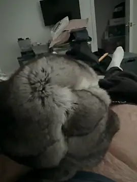 Furdale online show from 12-02-25, 02:52