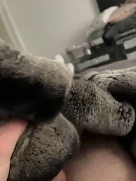 Snapshot of Furdale chatting on 02-10-25, 01:55 Furdale online show from 02-10-25, 01:55