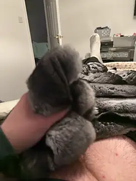 Furdale online show from 02-12-26, 07:13