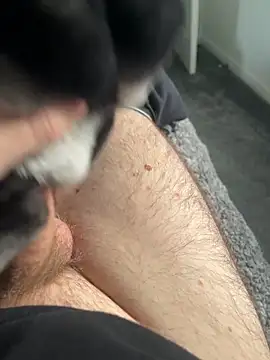 Snapshot of Furdale chatting on 01-16-25, 02:08 Furdale online show from 01-16-25, 02:08