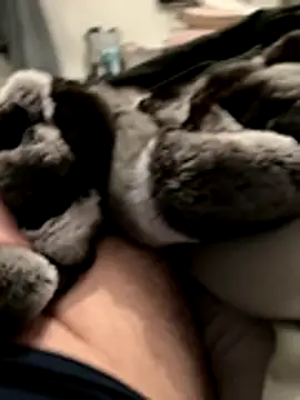 Furdale online show from 11-18-25, 05:16