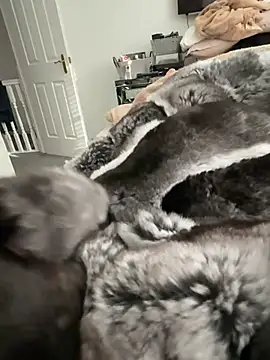 Furdale online show from 02-22-26, 03:13