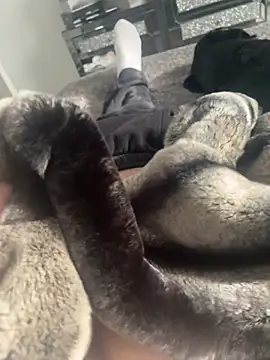 Snapshot of Furdale chatting on 02-22-25, 01:24 Furdale online show from 02-22-25, 01:24