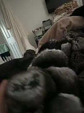 Furdale online show from 02-17-26, 04:15