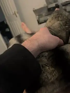 Snapshot of Furdale chatting on 02-17-25, 03:11 Furdale online show from 02-17-25, 03:11