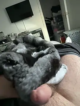 Snapshot of Furdale chatting on 09-19-25, 05:17 Furdale online show from 09-19-25, 05:17