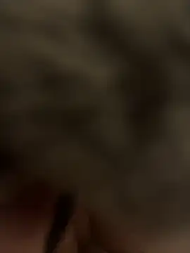 Snapshot of Furdale chatting on 01-24-25, 06:04 Furdale online show from 01-24-25, 06:04