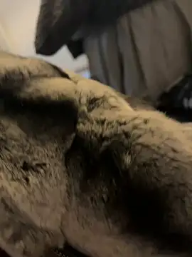 Snapshot of Furdale chatting on 01-01-25, 12:44 Furdale online show from 01-01-25, 12:44