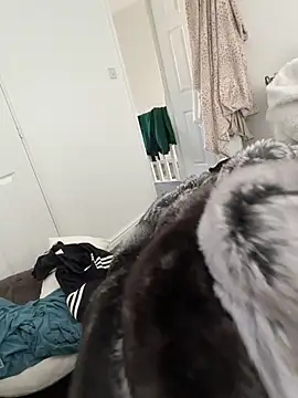 Furdale online show from 03-08-26, 12:41