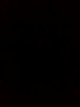 rodovlaz online show from 10-05-25, 01:24