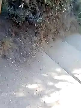 Snapshot of rodovlaz chatting on 03-02-26, 01:07 rodovlaz online show from 03-02-26, 01:07