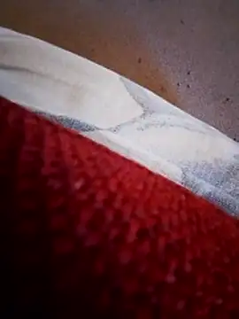 Snapshot of rodovlaz chatting on 02-10-26, 11:20 rodovlaz online show from 02-10-26, 11:20