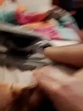 jon763 online show from 02-19-26, 09:17