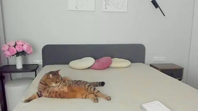 miss emily  online show from 04-10-26, 11:23