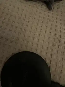 Snapshot of rippedbritish chatting on 12-02-25, 08:10 rippedbritish online show from 12-02-25, 08:10