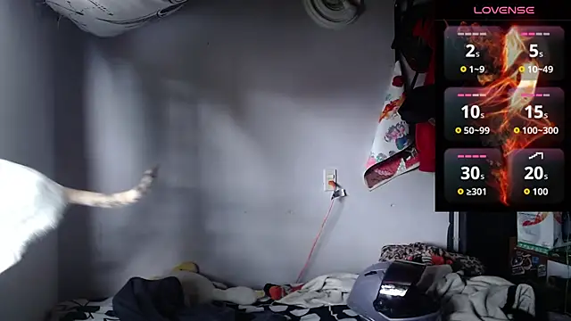 Apolo S online show from 03-21-26, 03:16