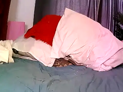 Snapshot of Misswhiteee chatting on 09-24-25, 12:55 Misswhiteee online show from 09-24-25, 12:55