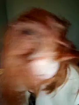 lollipop cat online show from 04-16-26, 09:39