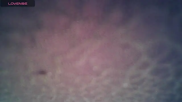 SexDiffrent online show from 11-27-25, 07:36